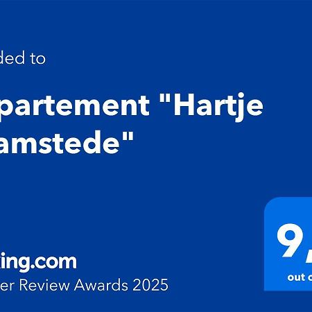 Appartement "Hartje Haamstede" Burgh-Haamstede Ngoại thất bức ảnh